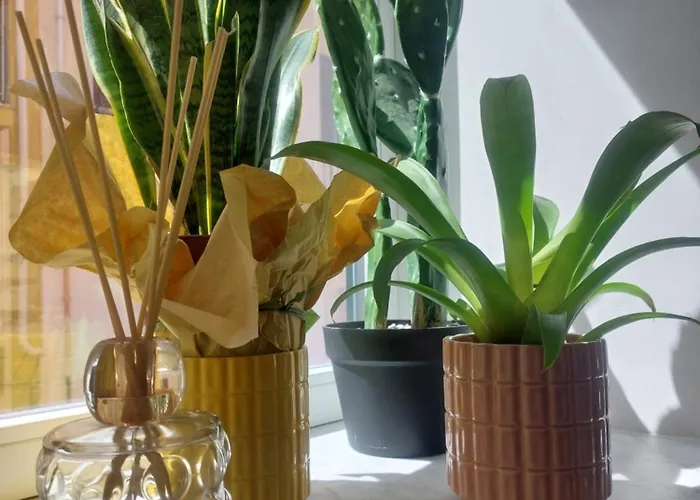 Borgo La Chiusa Cinisi