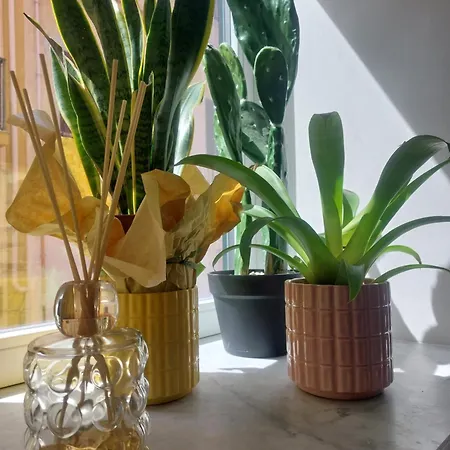 Borgo La Chiusa チーニジ